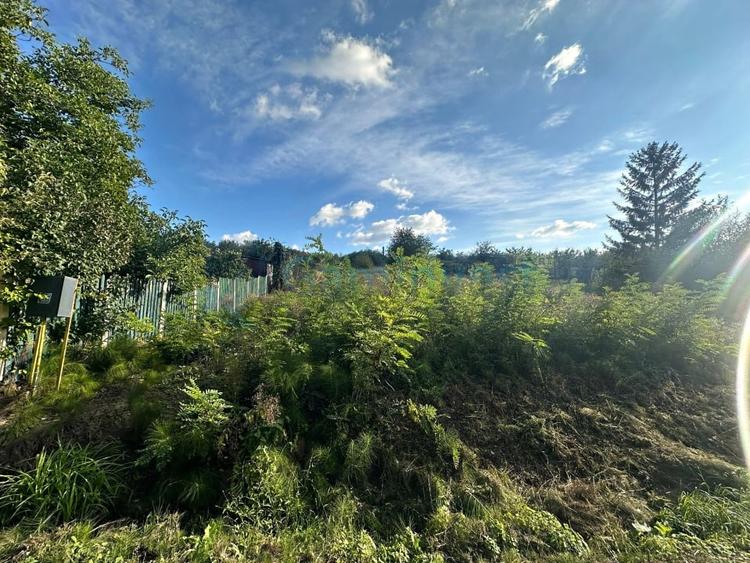 Teren Construcții intravilan de 4251 mp, în Dealuri Oradea
