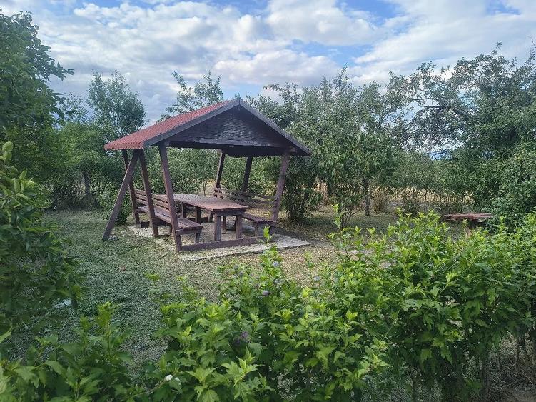 Teren de 6000 mp, în Bocsig