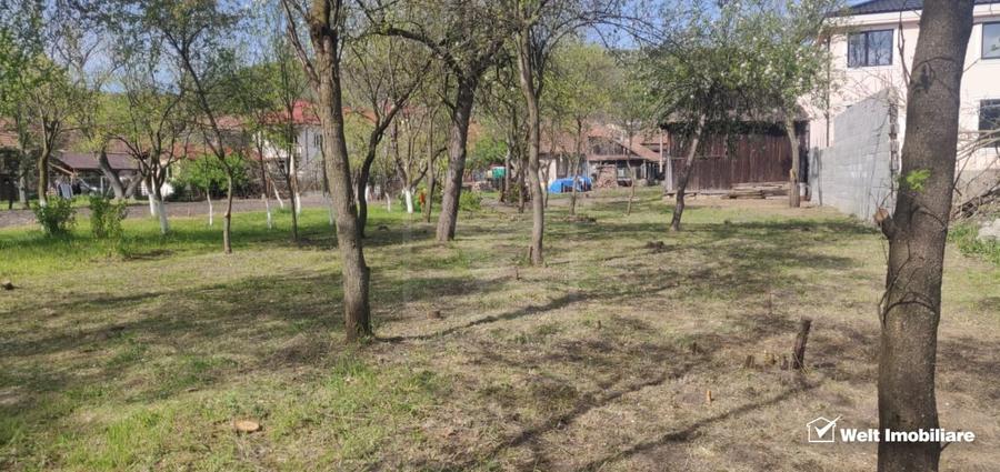 Teren Construcții intravilan de 2034 mp, în Baciu