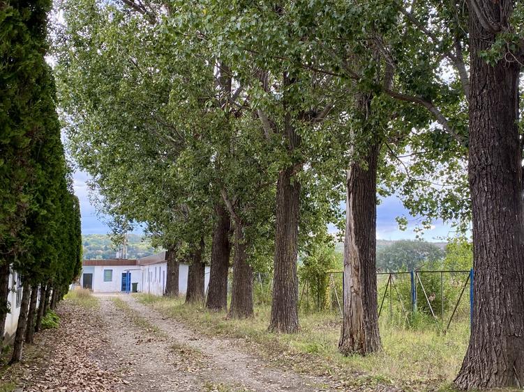 Spațiu industrial, de 2,500 mp, în Berca