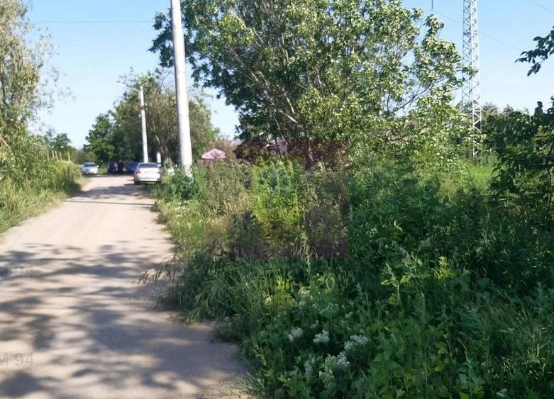 Teren de 5000 mp, în Copăceni