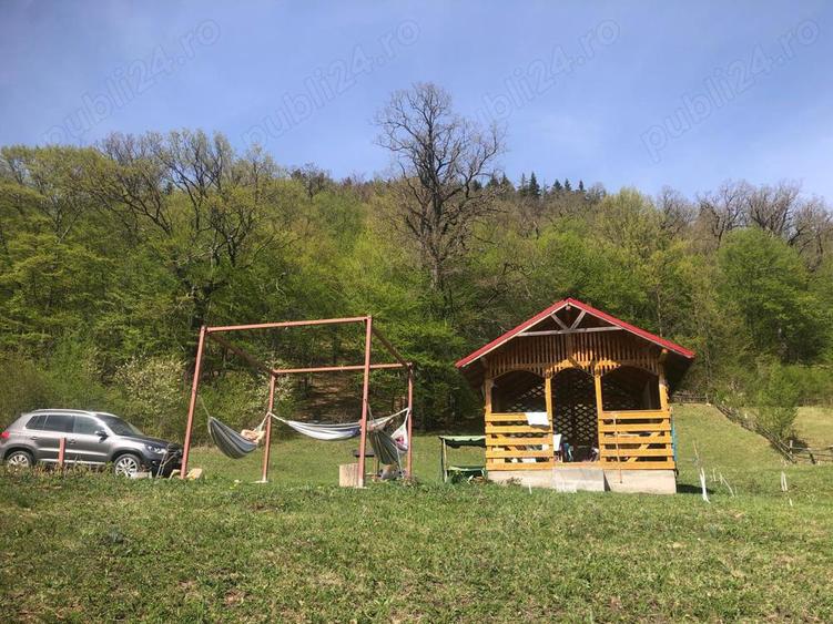 Teren de 6600 mp, în Cuejdiu