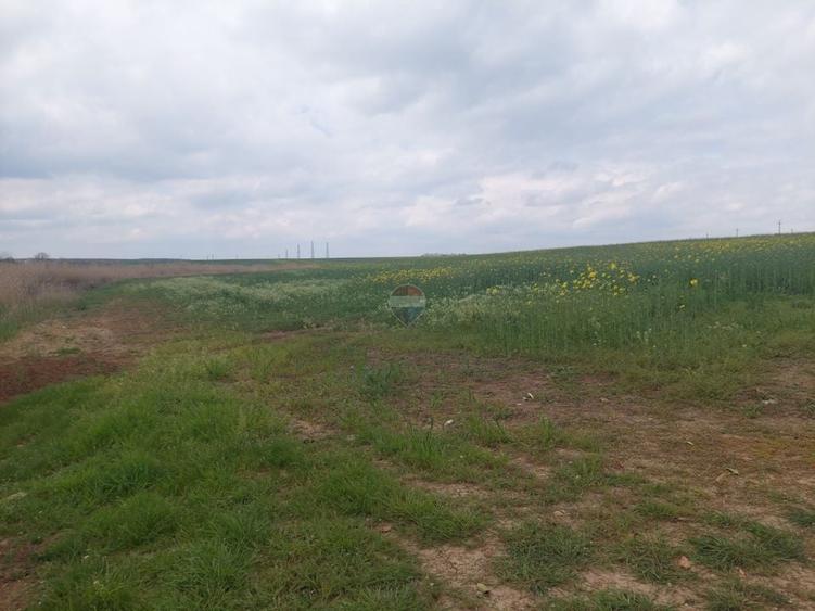 Teren Construcții intravilan de 12984 mp, în Balotești