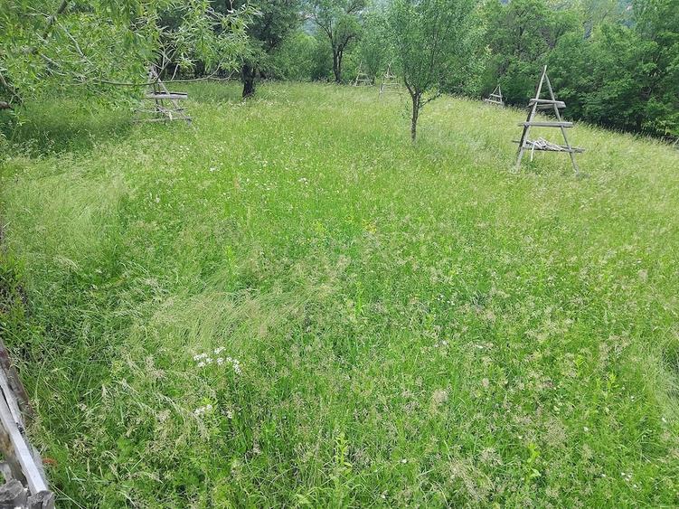 Teren de 1200 mp, în Valea Doftanei