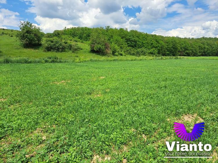 Teren agricol extravilan de 500 mp, în Turnișor