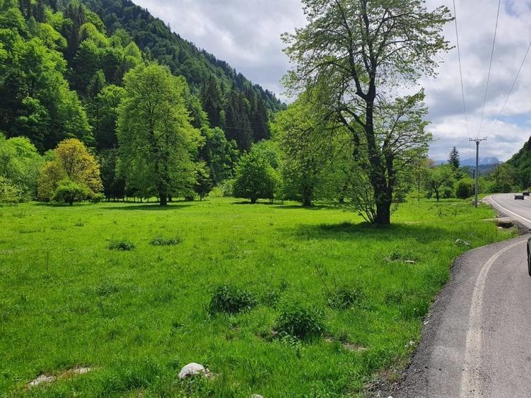 Teren Construcții intravilan de 20217 mp, în Exterior Sud