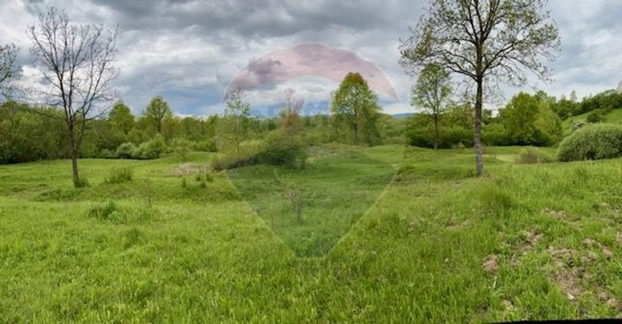Teren agricol extravilan de 20876 mp, în Breb