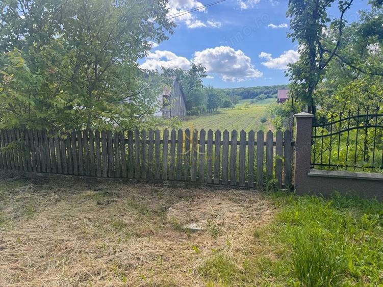 Teren de 2900 mp, în Lipoveni