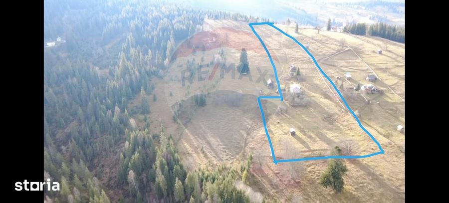 Teren de 26238 mp, în Dorna-Arini