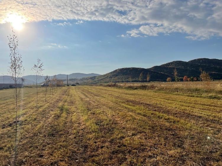 Teren Construcții intravilan de 2992 mp, în Măgureni