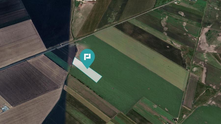 Teren agricol extravilan de 22500 mp, în Variașu Mic