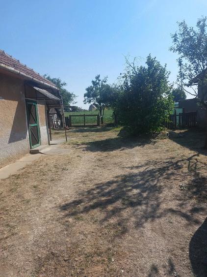 Casă cu 2 camere cu Teren 1400 Mp în Pișcolt