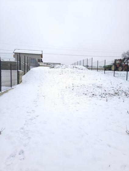 Teren agricol intravilan de 769 mp, în Tălmaciu