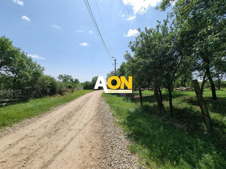 Teren Construcții intravilan de 5898 mp, în Periferie