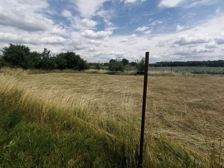 Teren Construcții intravilan de 2750 mp, în Podu Oltului