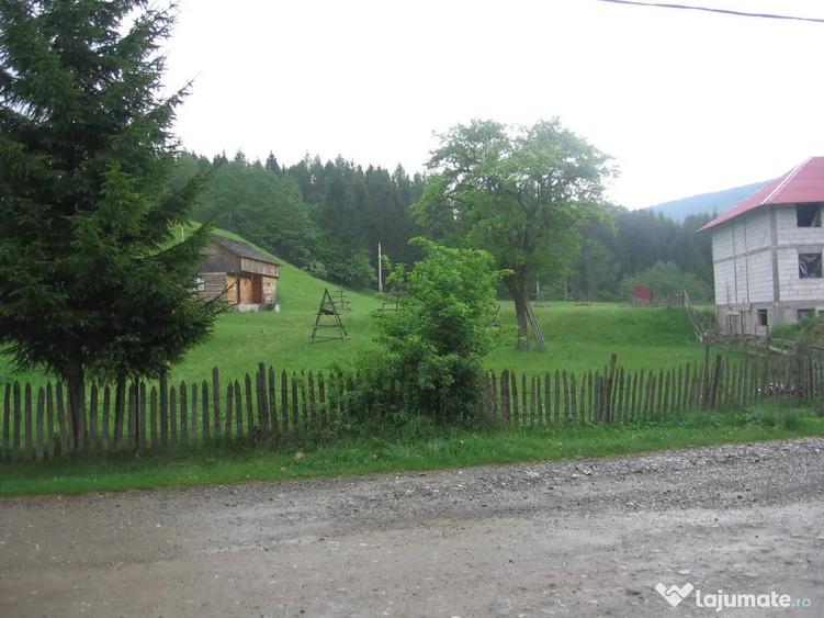 Teren de 4080 mp, în Valea Doftanei