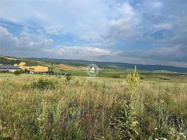 Teren de 633 mp, în Ciurea
