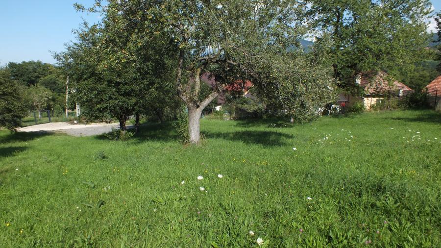Teren Construcții intravilan de 1364 mp, în Bran