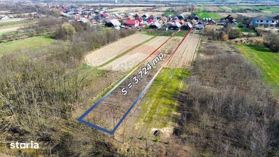 Casa de vanzare in Borle?ti, comuna Pomi - 5