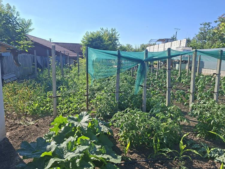 Casă cu 3 camere în Central