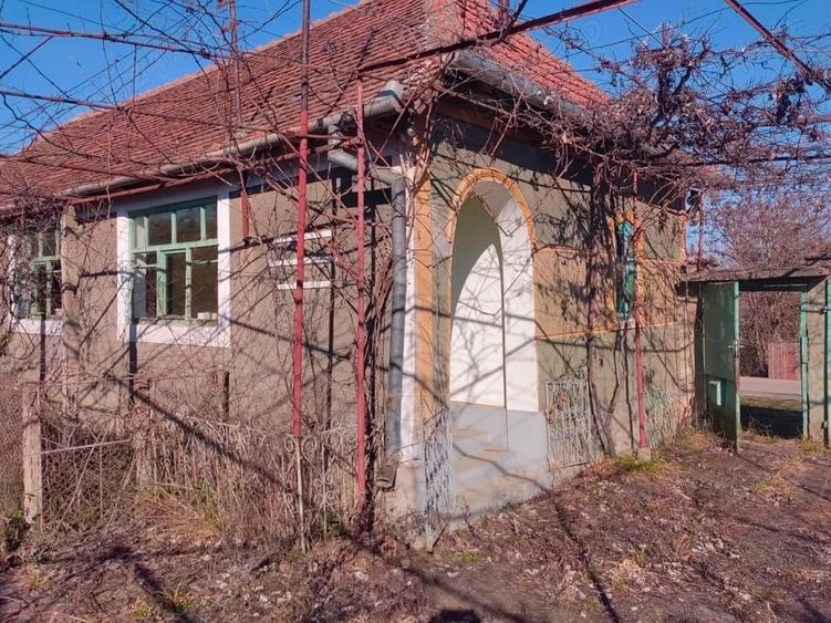 Casă în Săldăbagiu Mic