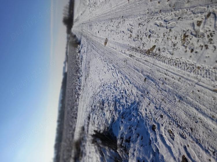 Teren de 10000 mp, în Găgeni