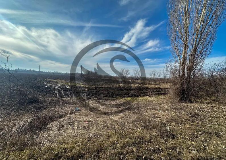Teren de 10083 mp, în Potigrafu
