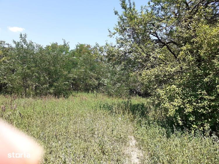 Teren de 8700 mp, în Belciugatele