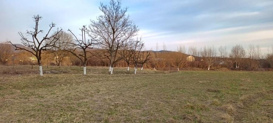Parcele sau intreg Intabulat ,Intravilan cu Nr de Casa ,drum Privat 4600 mp - 1