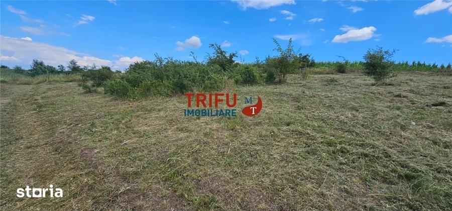 Teren de 500 mp, în Ciugud