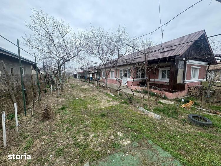 Teren 1300 mp + Casa din caramida | Merii Petchii, Ilfov - 1