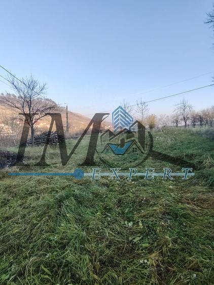 Teren Construcții intravilan de 1785 mp, în Pâclișa