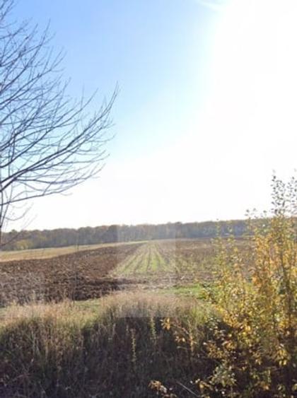 Teren agricol extravilan de 10000 mp, în Brăești
