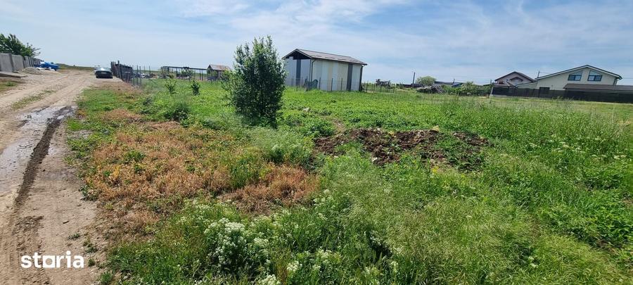 Teren de 304 mp, în Berceni