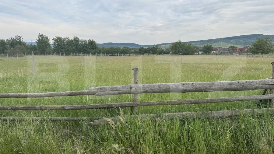 Teren Construcții intravilan de 1100 mp, în Livezile