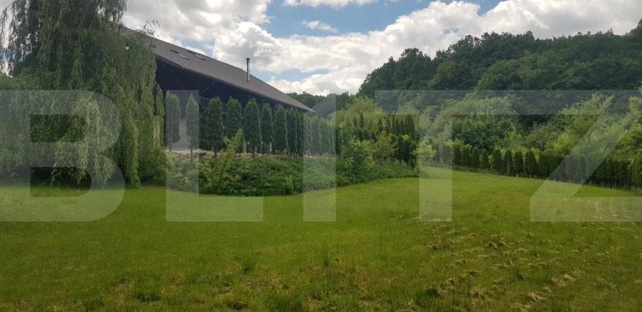 Casă individuală cu 5 camere cu Teren 3000 Mp în Făget