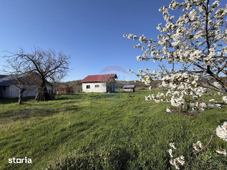 Casă cu 3 camere cu Teren 1000 Mp în Bradu