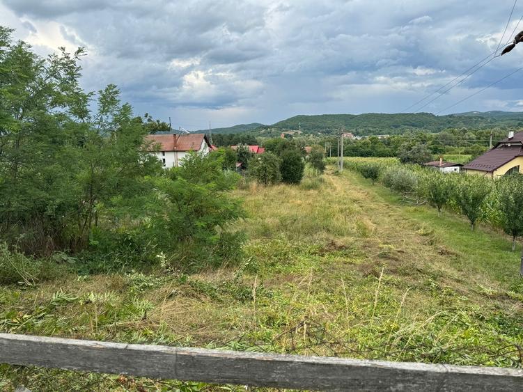 Teren Construcții intravilan de 2039 mp, în Curtea de Argeș