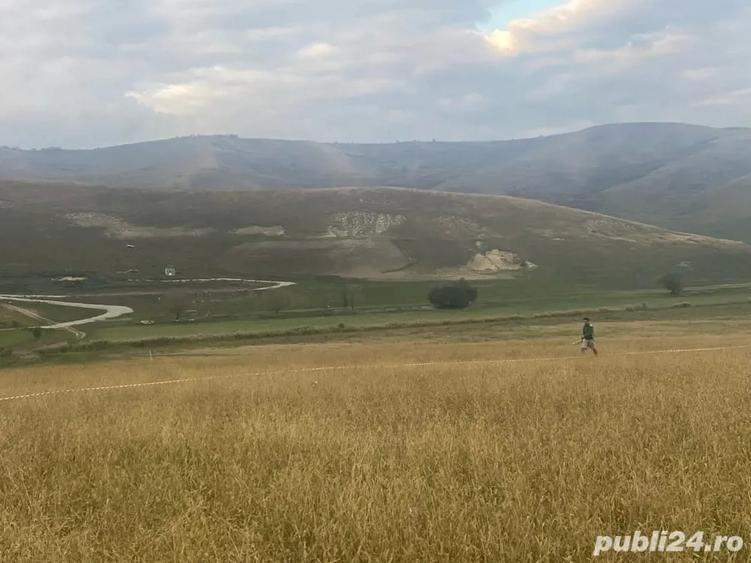 Teren de 14500 mp, în Cojocna