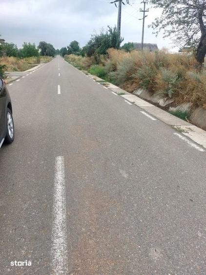 Teren de 5000 mp, în Nicșeni