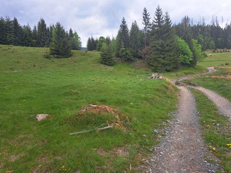 Teren de 25044 mp, în Rogojel