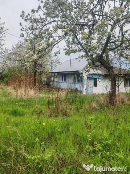 Teren intravilan in suprafata de 3160 mp, Puscasi, Poiana... - 1