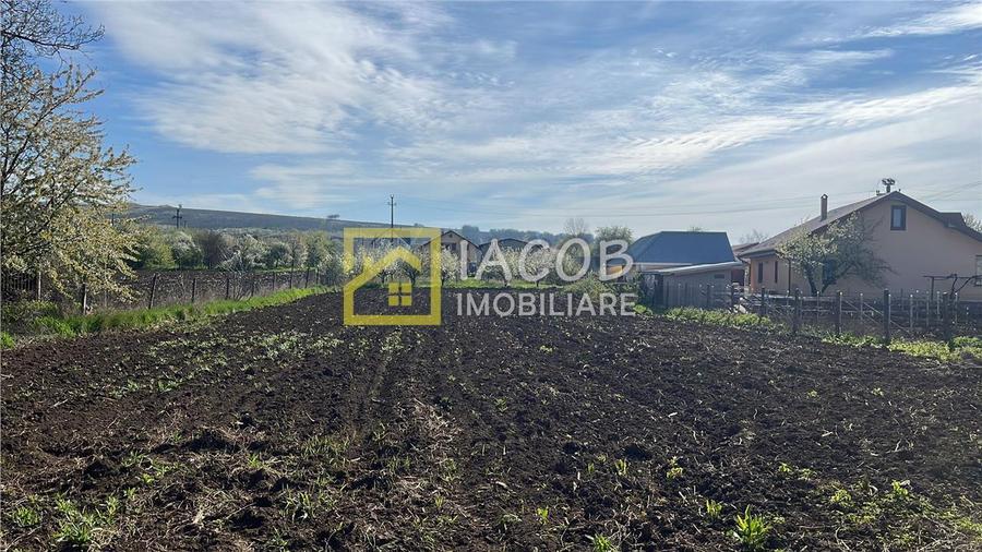 Teren Construcții intravilan de 2554 mp, în Prăjești (Traian)
