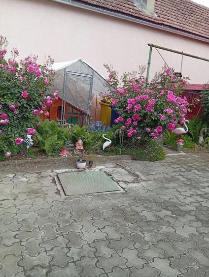 Casă cu 2 camere cu Teren 165 Mp în Central