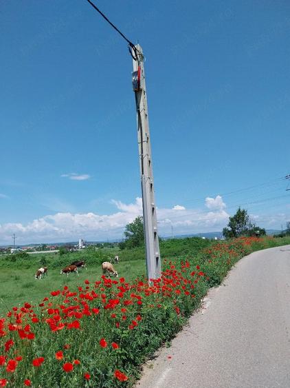 Teren de 3700 mp, în Central