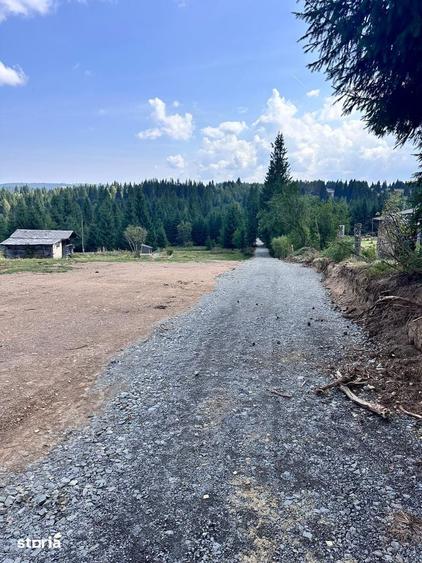 Teren de 8933 mp, în Râșca