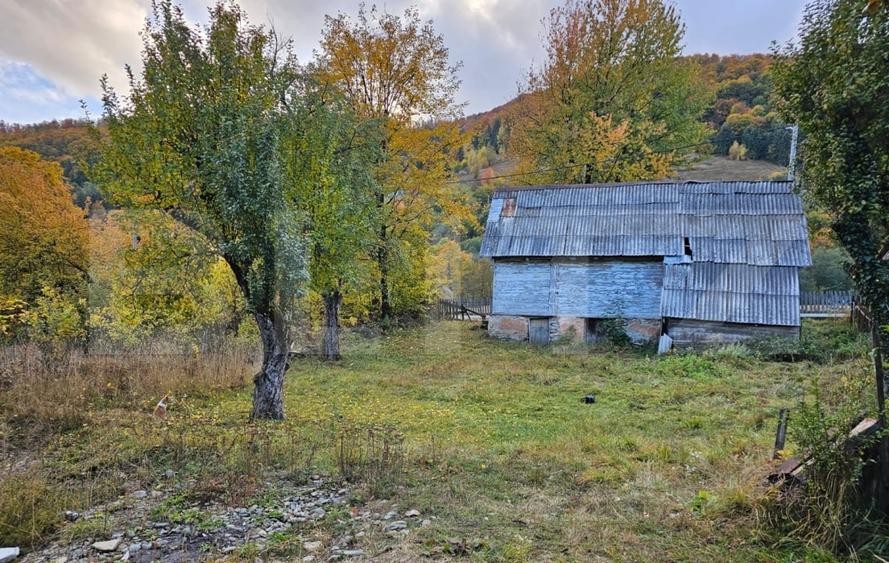 Casă individuală cu 2 camere cu Teren 939 Mp în Avram Iancu