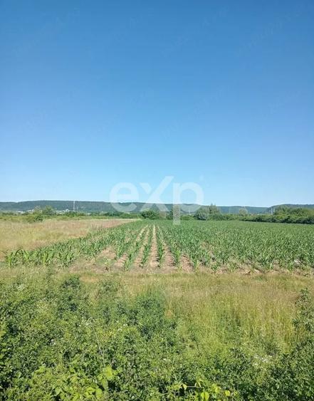 Teren Construcții extravilan de 3000 mp, în Mioveni