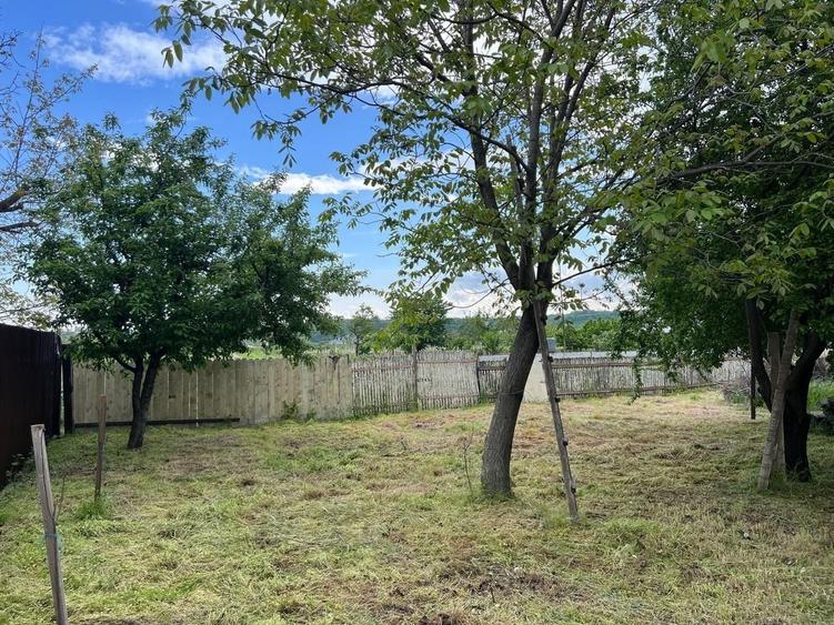🏡 CASĂ + TEREN INTRAVILAN 4.971 MP – URECHEȘTI, VRANCEA - 26