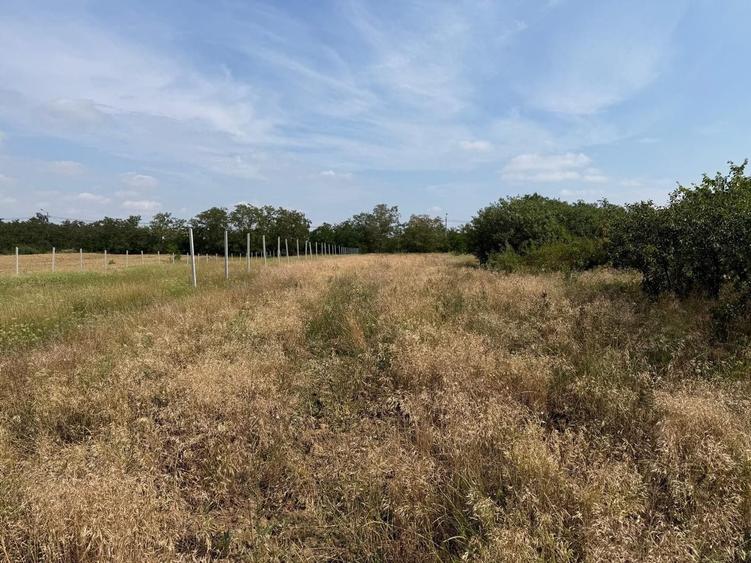 Teren Construcții intravilan de 1203 mp, în Miersig